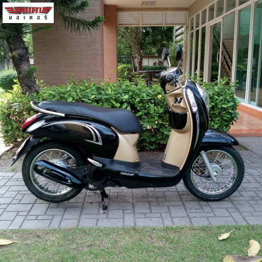 Scoopy i